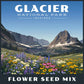 Flower seed mix package with a scenic view of mountains and flowers, inspired by Glacier National Park.