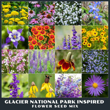 Collage of various flowers from the Glacier National Park Inspired Flower Seed Mix.