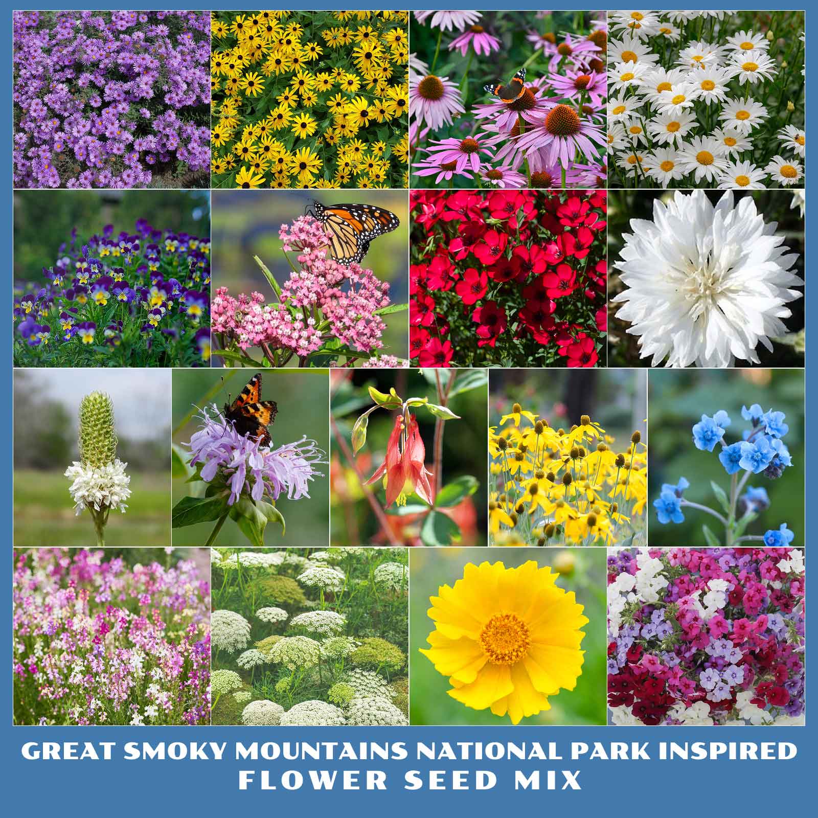Collage of various flowers from the Great Smoky Mountain National Park Inspired Flower Seed Mix.