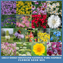 Collage of various flowers from the Great Smoky Mountain National Park Inspired Flower Seed Mix.