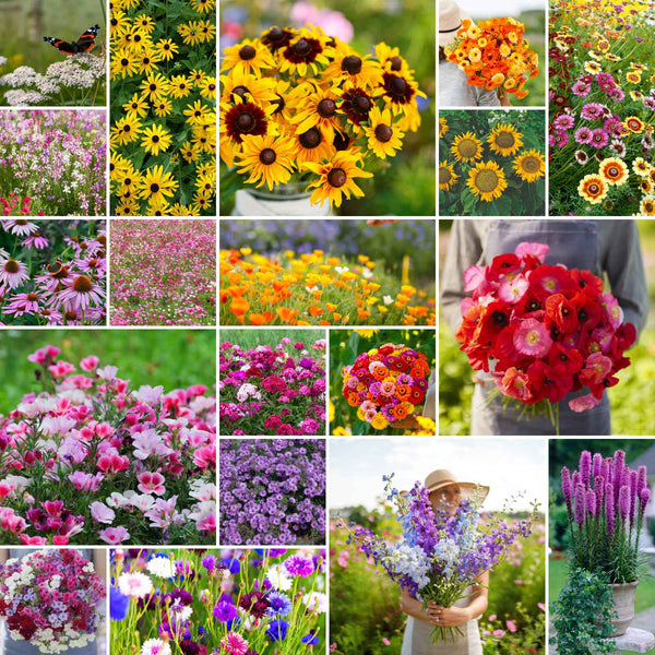 DeFries Gardens