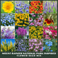 Collage of various flowers from the Mount Rainier National Park Inspired Flower Seed Mix.