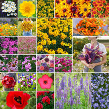A grid graphic showing the bloomed contents of Northeast Wildflower Seed Mix