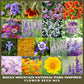 Collage of various flowers from the Rocky Mountain National Park Inspired Flower Seed Mix.