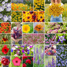 A grid graphic showing the bloomed contents of Western Wildflower Seed Mix