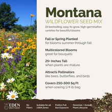 A visual overview of the wildflower seed mix, showcasing expected floral blooms.