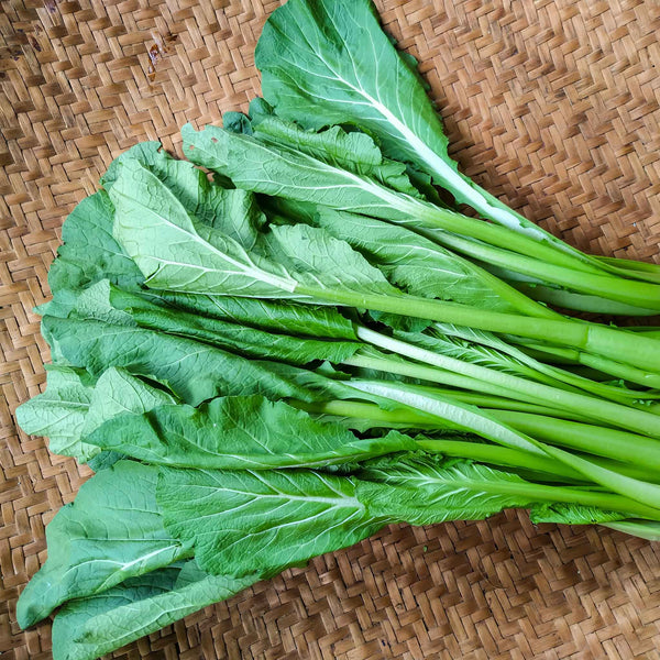 mustard-organic-tendergreen-