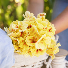 A close-up of a bouquet of peach melba flowers with red centers, held in a wicker basket lined with beige fabric, with a person's arm and leg blurred in the background.