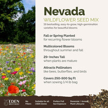A visual overview of the wildflower seed mix, showcasing expected floral blooms.