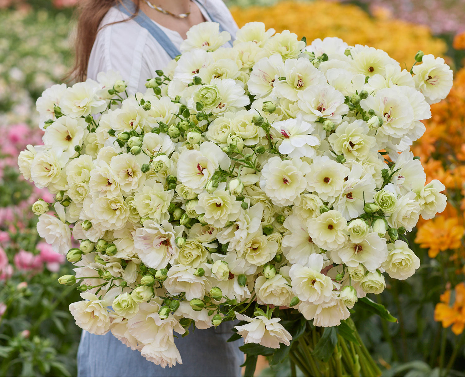 Bouquet of white flowers held by a person in a garden setting