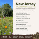New Jersey Wildflower Seed Mix | Eden Brothers