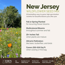 A visual overview of the wildflower seed mix, showcasing expected floral blooms.
