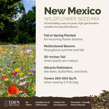 A visual overview of the wildflower seed mix, showcasing expected floral blooms.