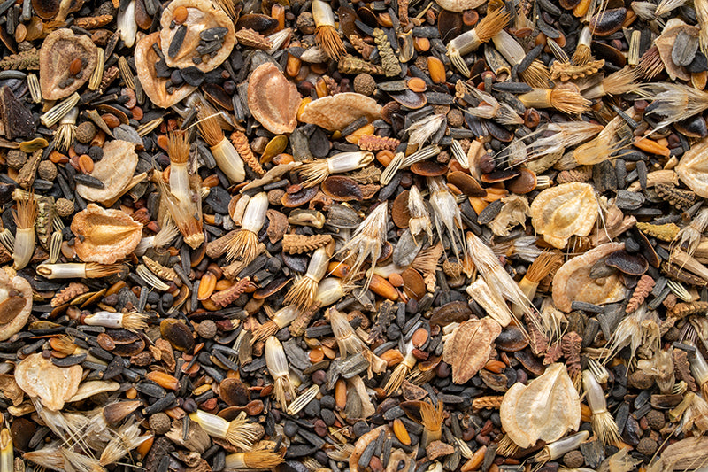 A close-up, top-down view of a mixed seeds