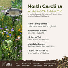 A visual overview of the wildflower seed mix, showcasing expected floral blooms.