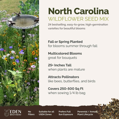 A visual overview of the wildflower seed mix, showcasing expected floral blooms.