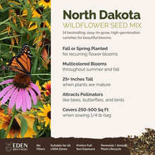A visual overview of the wildflower seed mix, showcasing expected floral blooms.