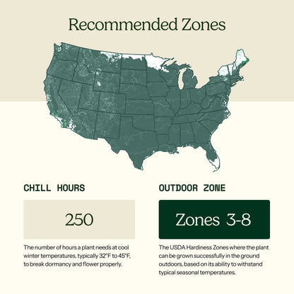 A USDA hardiness zone map of the United States with labeled patio and outdoor zones, showing a light teal map on a beige background with explanatory text blocks below.
