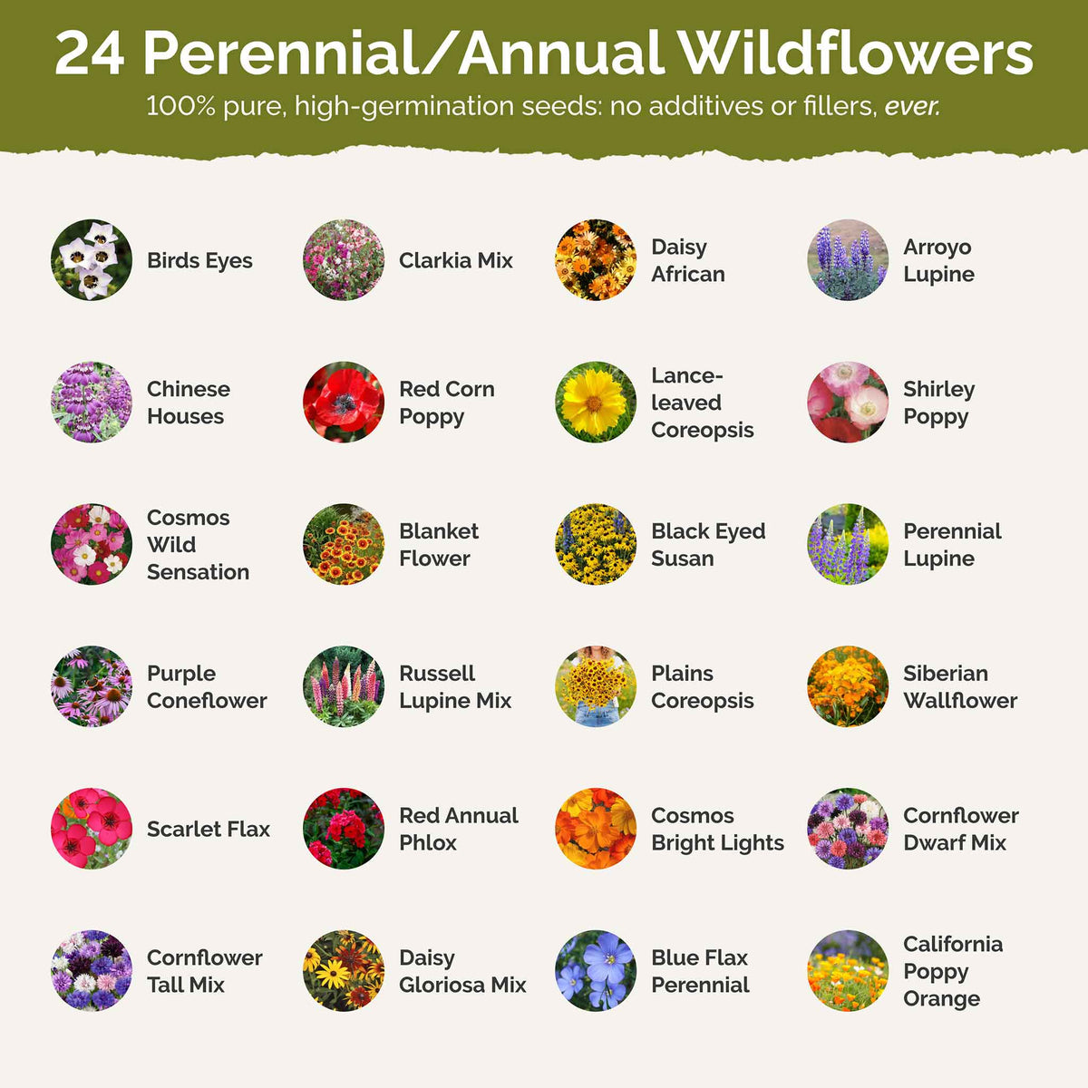 List of flower species and seeds included in the Wildflower Seed Mix.