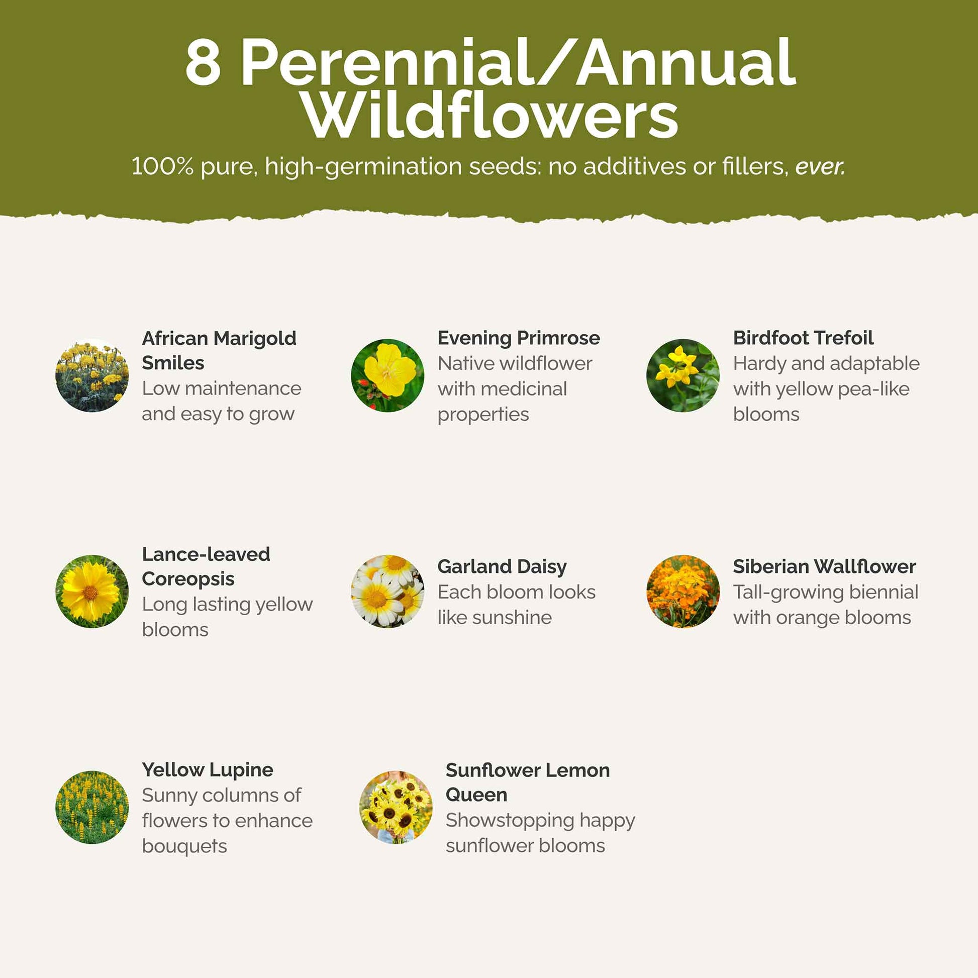 List of flower species and seeds included in the Wildflower Seed Mix.