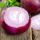 Onion Seeds (Short Day) - Red Burgundy