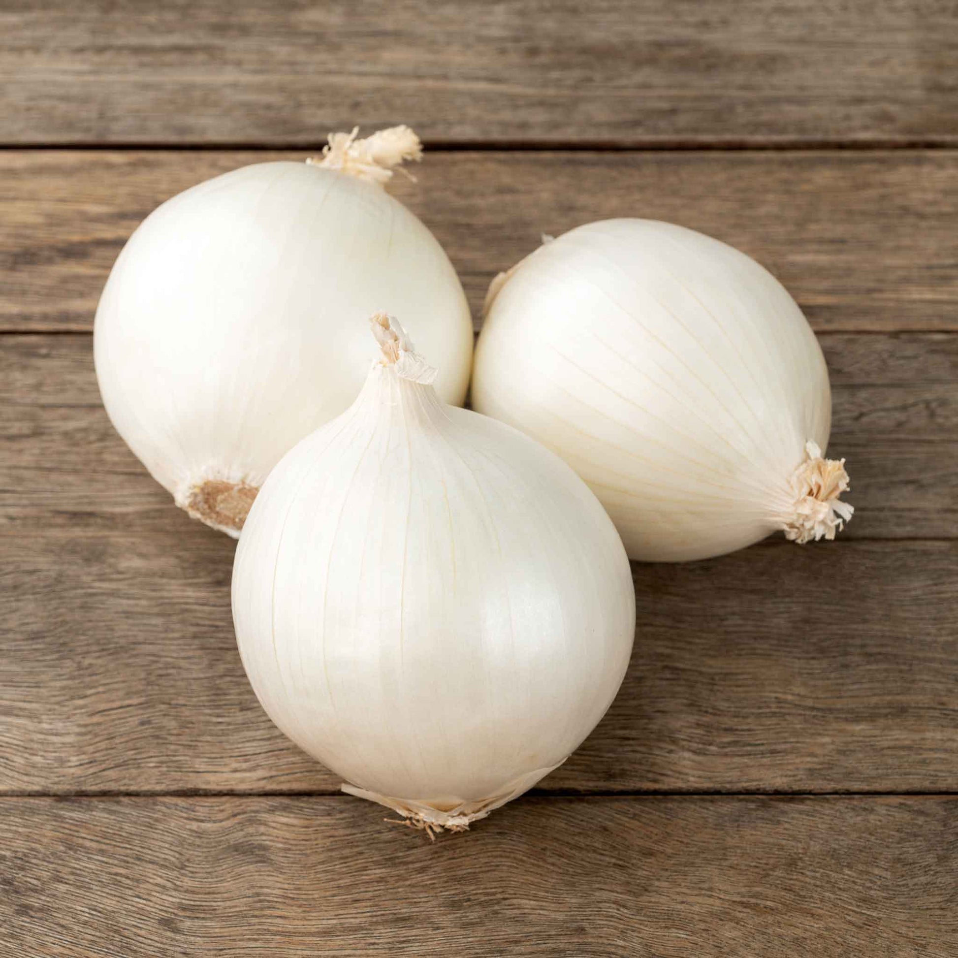 Three white ebinezer onions on a wooden surface
