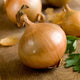 Onion Seeds (Short Day) - Texas Early Grano