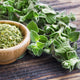 Oregano Seeds (Organic) - Greek