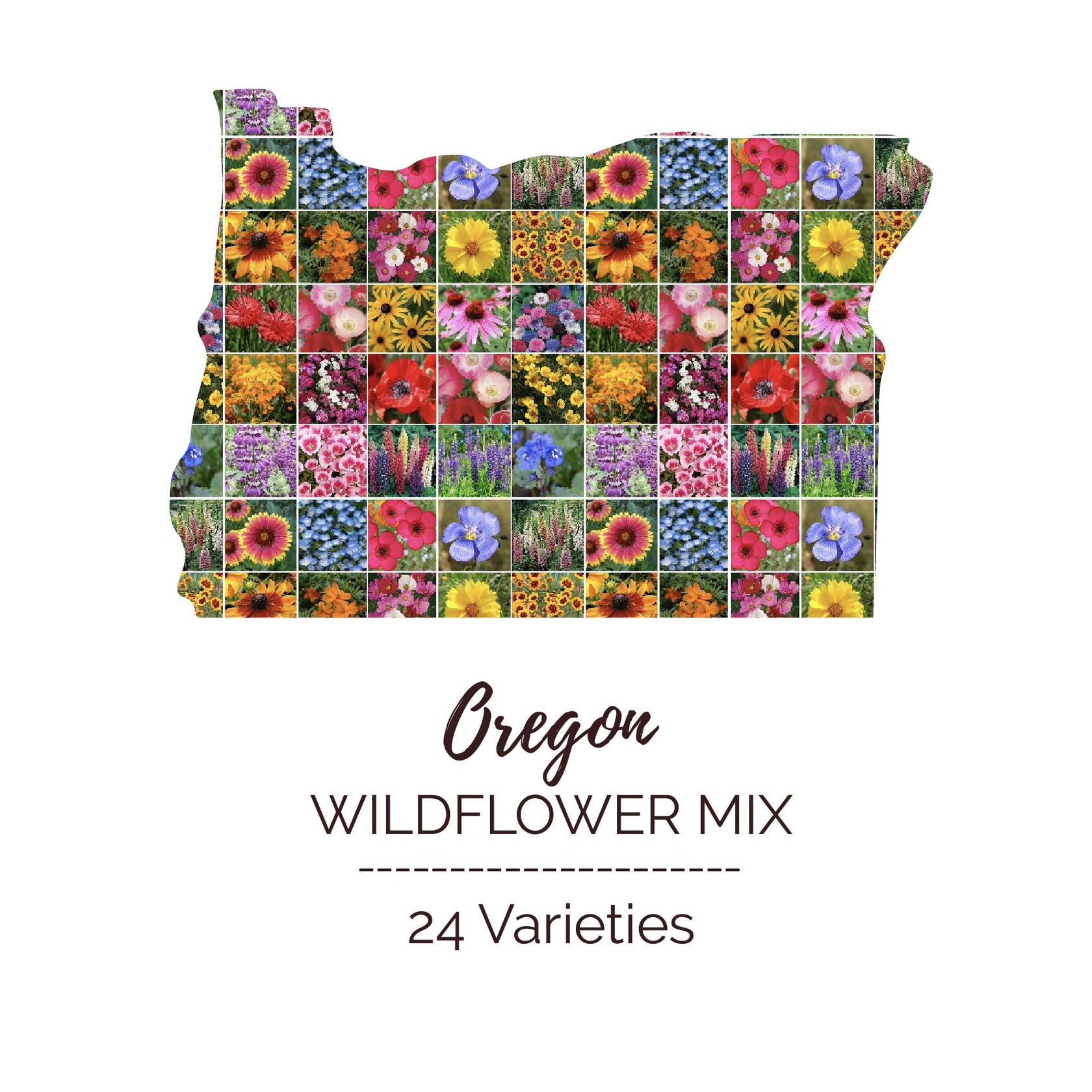 Oregon Wildflower Seed Mix Eden Brothers