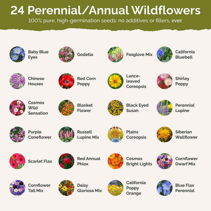 Pacific Northwest Wildflower Seed Mix Eden Brothers
