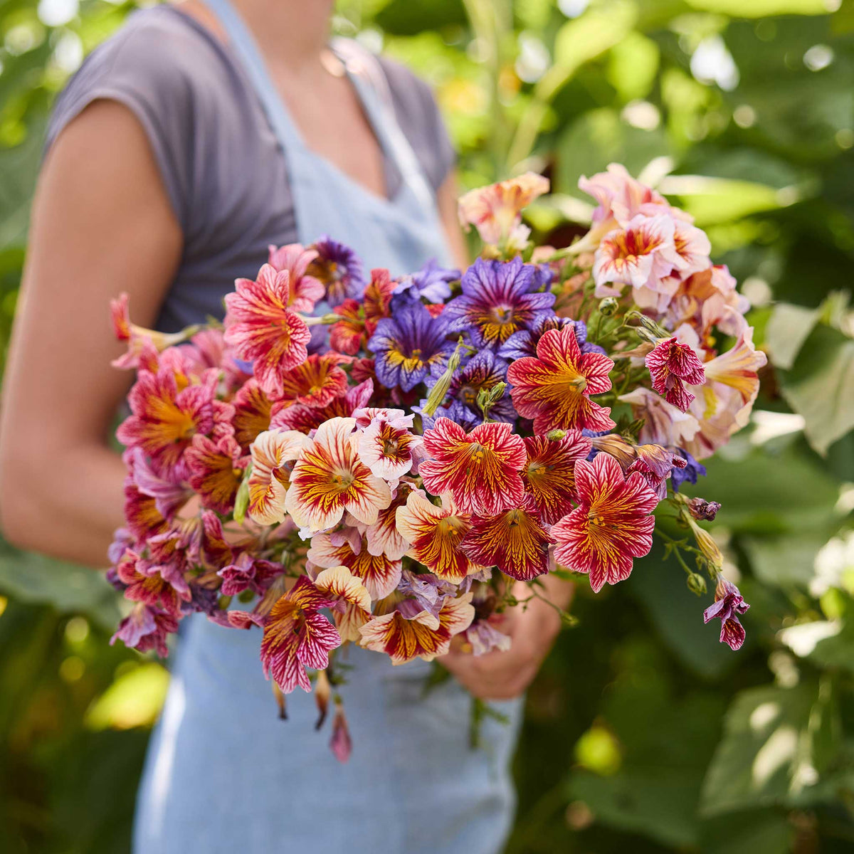 A person holding a bouquet of painted tongue superbissima mix flowers in a natural setting