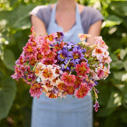 A person holding a bouquet of painted tongue superbissima mix flowers in a natural setting
