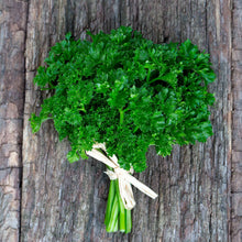 A close-up shot of small, dark green organic curled parsley stems, bundled together.