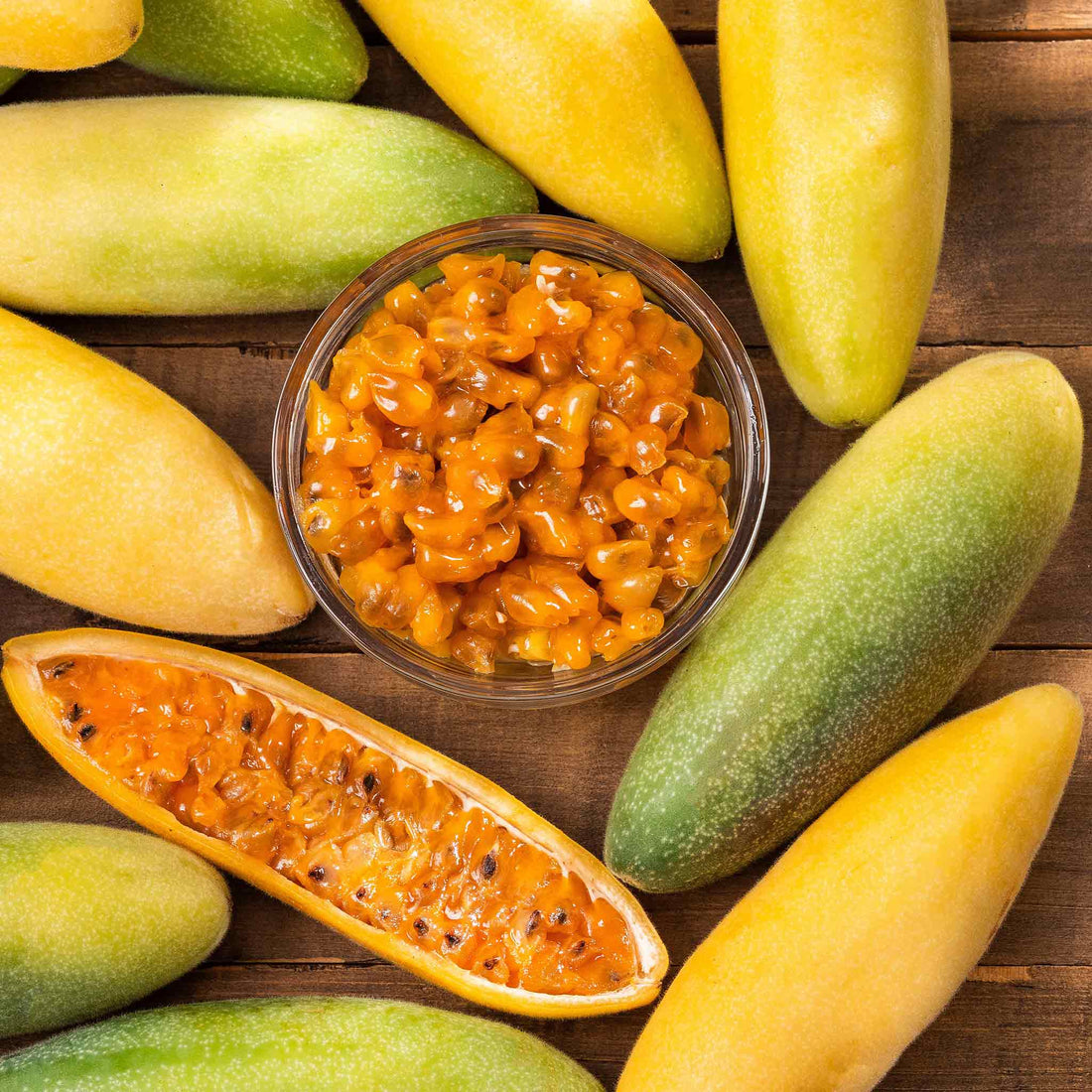 Passiflora Seeds Banana Passion Fruit Flower Seeds Eden Brothers