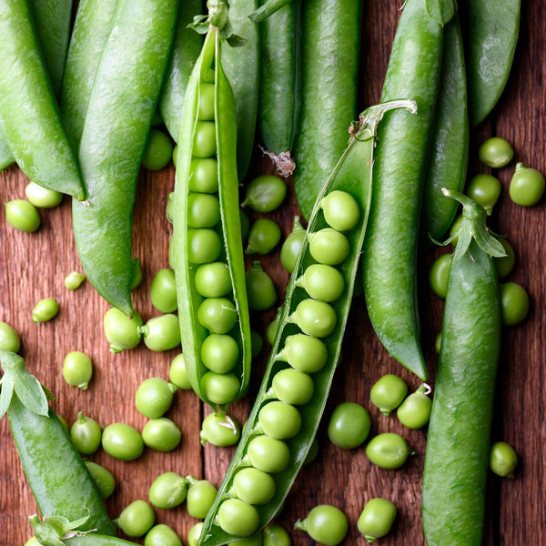 green peas⭐︎ peas-green-arrow-shk-1_grande.