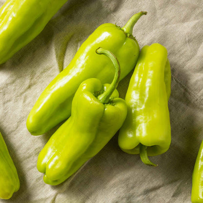 Green Cubanelle peppers with a slightly wrinkled skin and a long, tapering shape.
