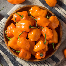 A bowl of Habanero Orange peppers with green stems.