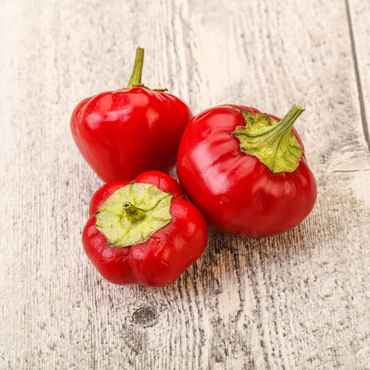 Three small Red Cherry Hot peppers with bulbous bodies and green stems.