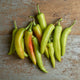 Sweet Pepper Seeds - Sweet Banana