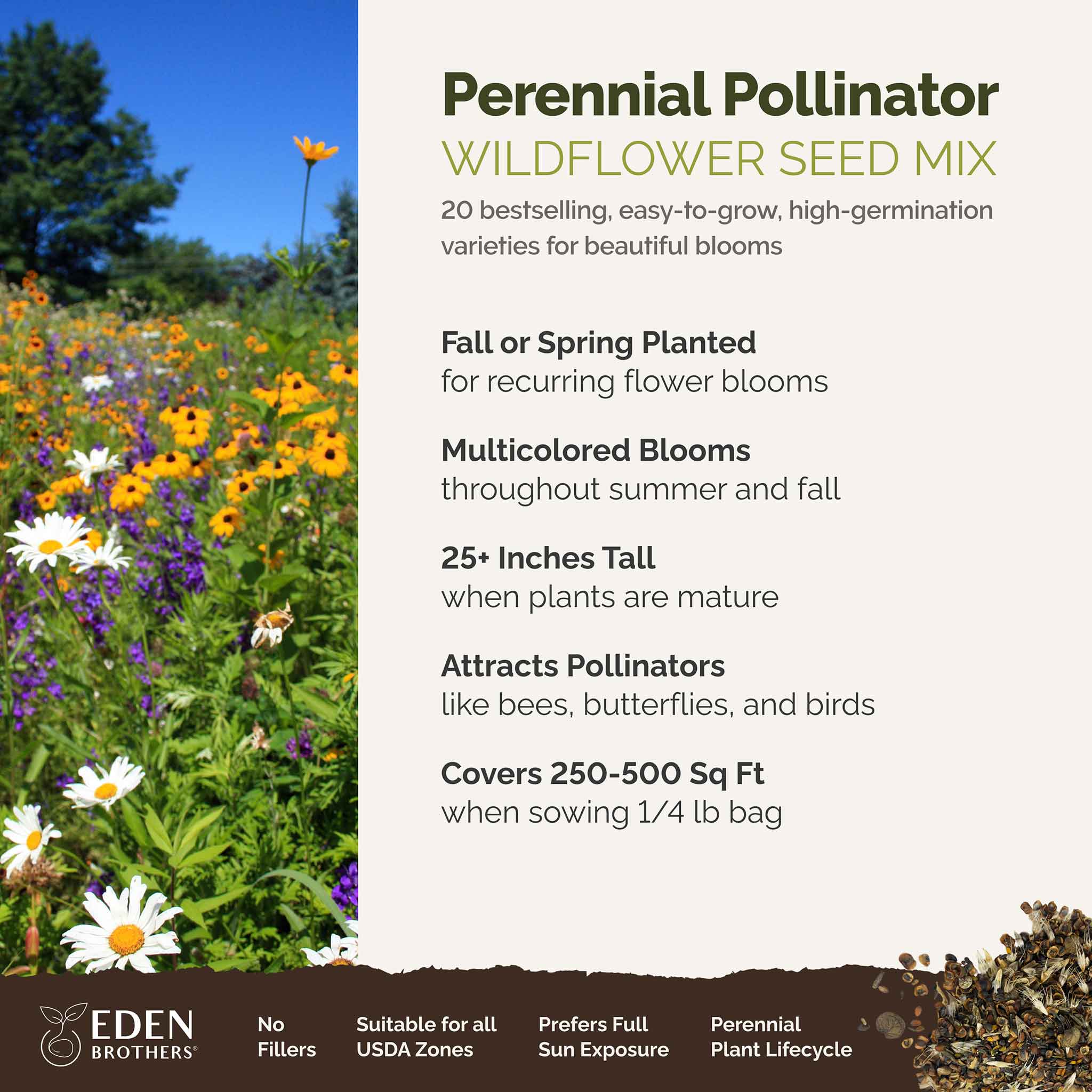 Perennial Pollinator Wildflower Mix | Wildflower Seeds | Eden Brothers