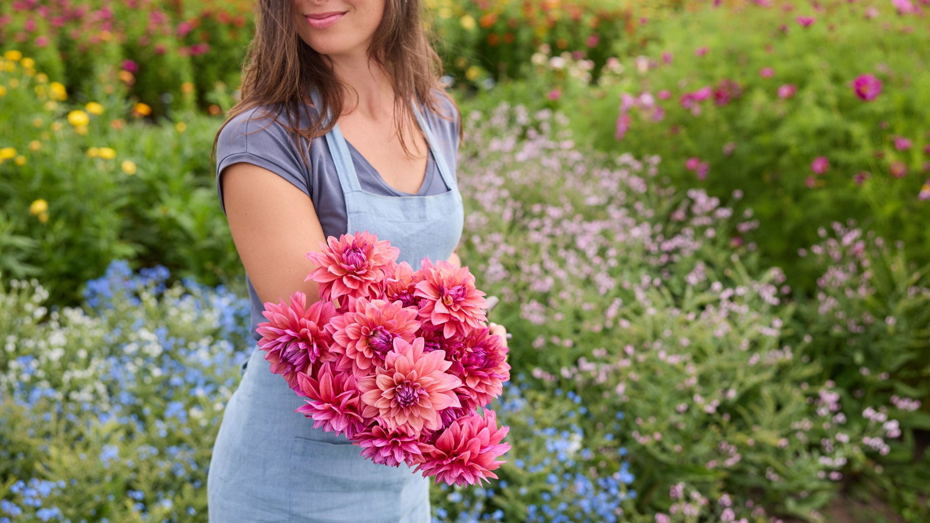 Woman holding pink dahlia flowers in a garden