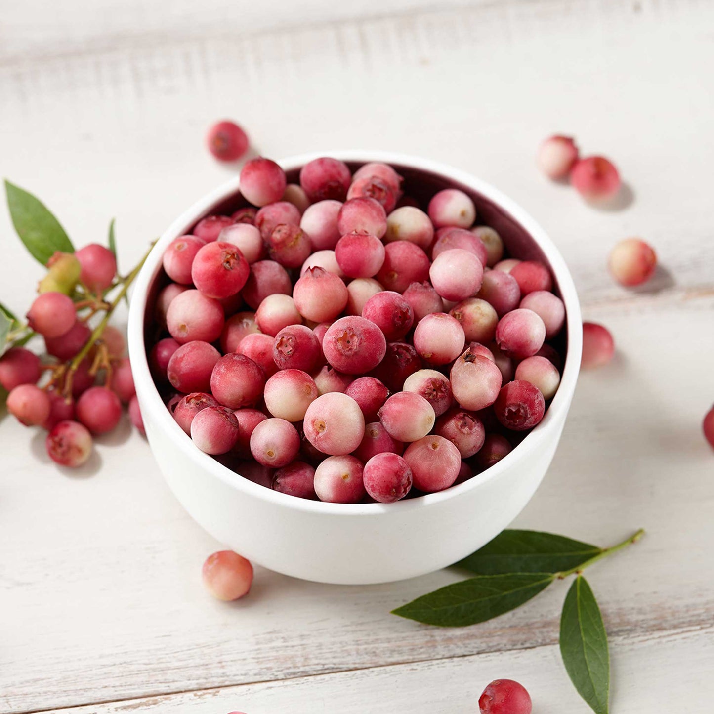 Pink Lemonade Blueberry Bush