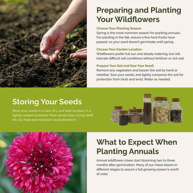 Pink Perfection Flower Seed Mix