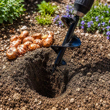Power Planter Bulb Planting Auger & Bedding Plant Tool used in dirt with tulip bulbs ready to be planted