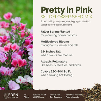 A visual overview of the wildflower seed mix, showcasing expected floral blooms.