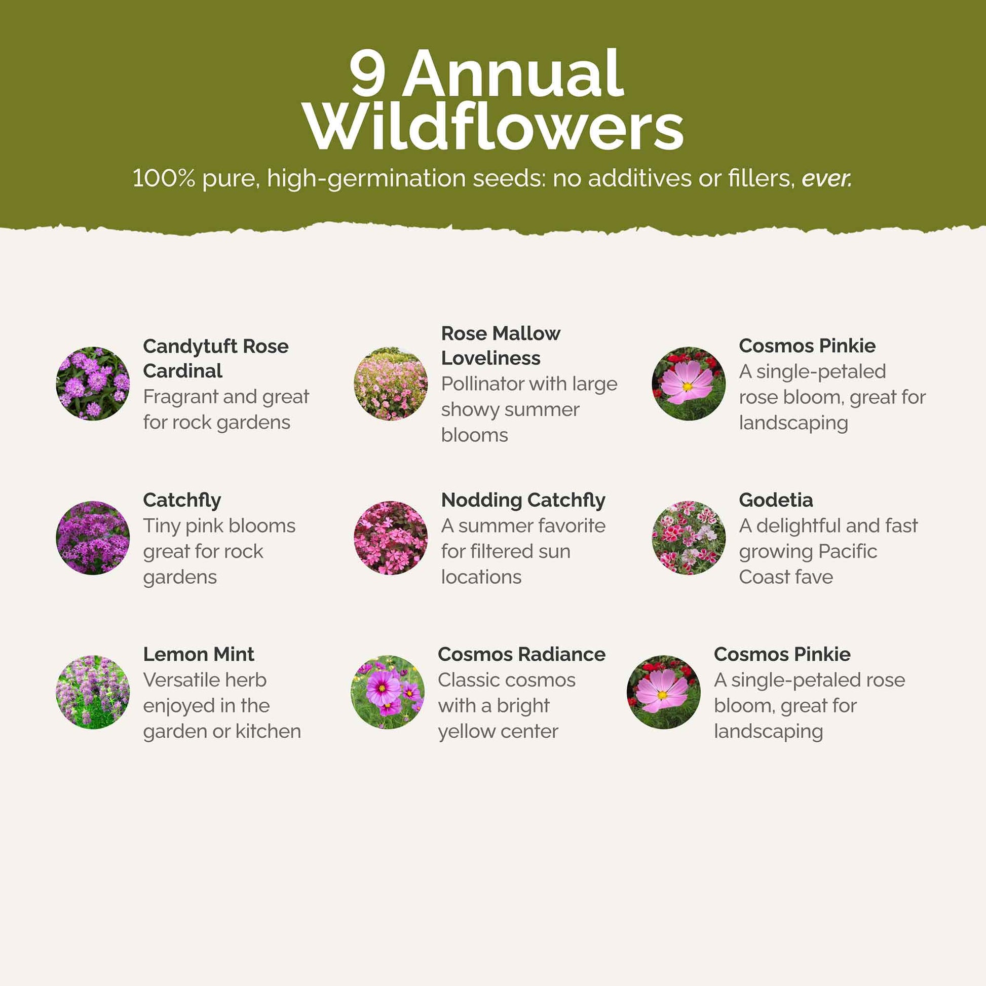List of flower species and seeds included in the Wildflower Seed Mix.