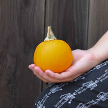 Small Kandy Korn Plus pumpkin with smooth orange skin and a green stem with a hand for scale.