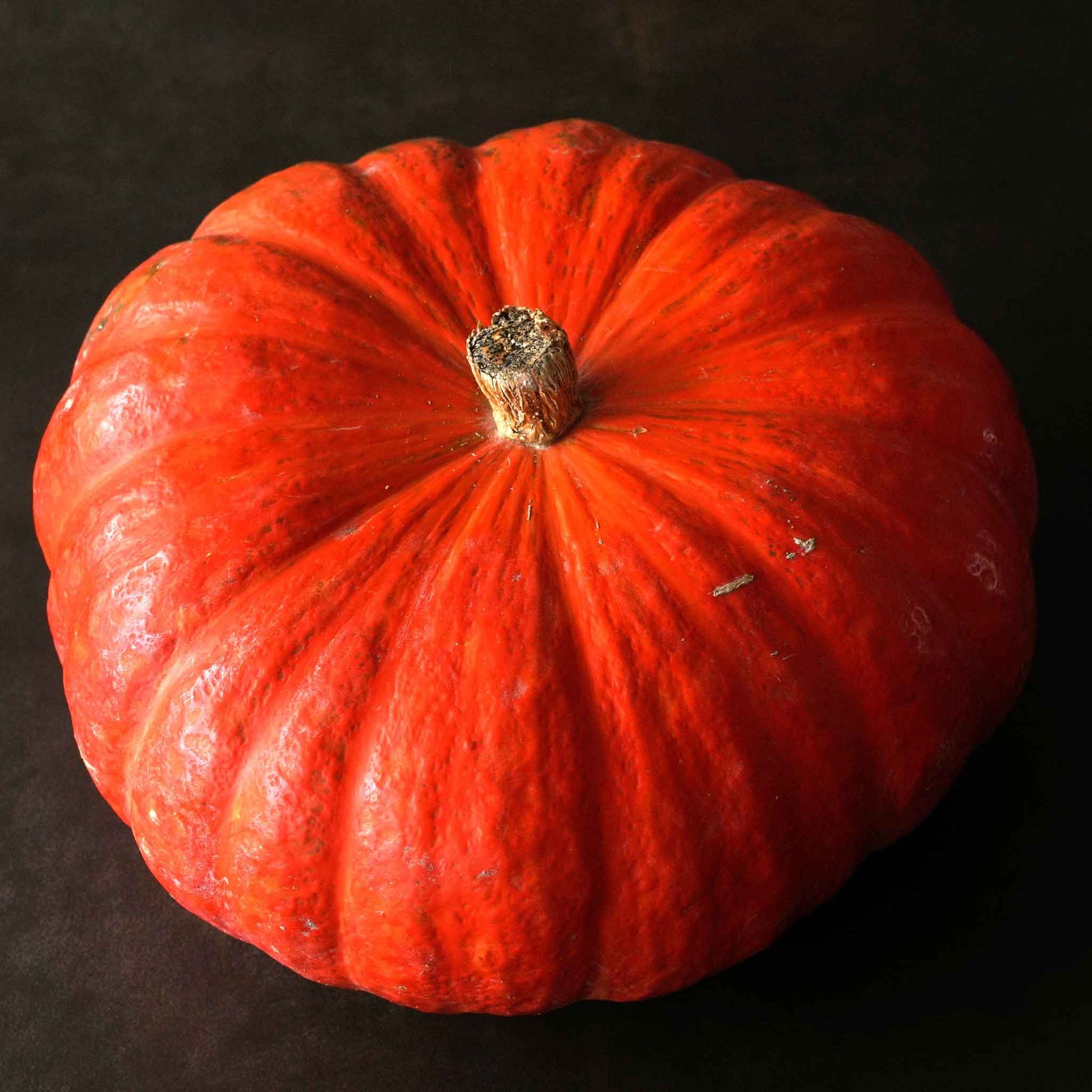A single, vibrant red Rouge Vif d'Etampes pumpkin with deep ridges rests on a dark background.