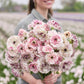 A person holding a bouquet of the ranunculus brushmark cesar and galthie bundle in a natural setting