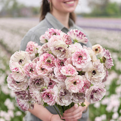 A person holding a bouquet of the ranunculus brushmark cesar and galthie bundle in a natural setting